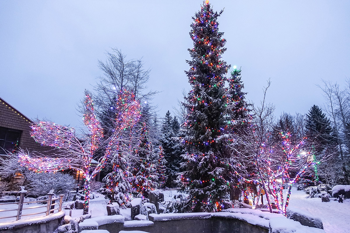 whistler summit lodge christmas 1