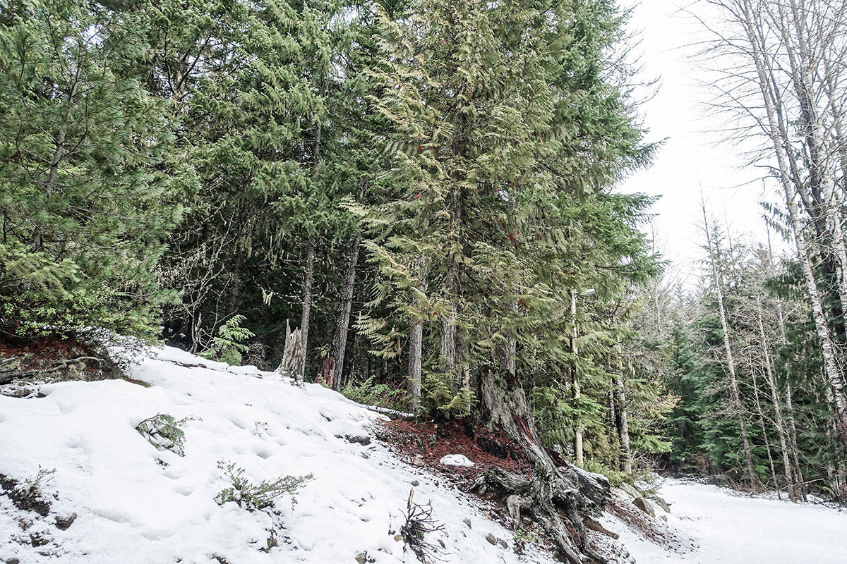 whistler summit lodge lost lake hiking 1